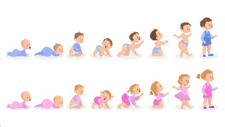 Growth and Development